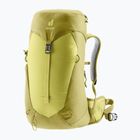 Дамска туристическа раница Deuter AC Lite 22 l SL sprout/linden