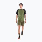 Мъжка тениска за бягане DYNAFIT Alpine Pro зелена 08-0000070964