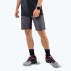 Мъжки шорти за трекинг DYNAFIT Transalper Light Dynastretch magnet