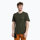 Salewa мъжка тениска за катерене Lavaredo Hemp Print green 00-0000028367