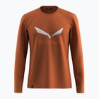 Мъжка тениска с дълъг ръкав Salewa Solidlogo Dry bombay brown