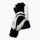 Ски ръкавици Reusch Tomke Stormbloxx white 49/31/112/1101