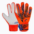 Вратарски ръкавици Reusch Attrakt Starter Grip hyper orng/elec blue