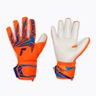 Вратарски ръкавици Reusch Attrakt Freegel Advance shocking orange/blue