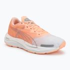 Дамски обувки за бягане Puma Velocity Nitro 2 melon/white/grey