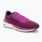 Дамски обувки за бягане Puma Eternity Nitro deep orchid