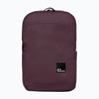 Градска раница Jack Wolfskin Terraview 20 л амарант