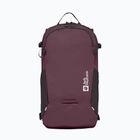 Раница Jack Wolfskin Velocity 20 л амарант