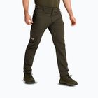 Мъжки панталони за трекинг Jack Wolfskin Activate Flex obsidian moss