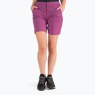 Дамски къси панталони за трекинг Jack Wolfskin Hilltop Trail purple 1505461_2094