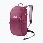 Туристическа раница Jack Wolfskin Athmos Shape 16 l beaujolais