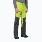 Мъжки ски панталон Alpspitze 3L на Jack Wolfskin зелен/черен 1115191
