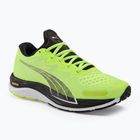 Мъжки обувки за бягане PUMA Velocity NITRO 2 Run 75 fast yellow/puma black
