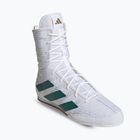 боксови обувки adidas Box Hog 4 cloud white/collegiate green/core black