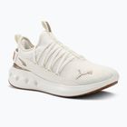 Обувки за бягане PUMA Softride Carson Fresh warm white/puma gold