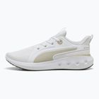 Обувки за бягане Puma Softride Carson puma white/desert dust