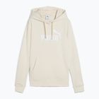 Дамски суитшърт PUMA ESS No. 1 Logo Hoodie TR alpine snow
