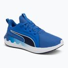 Обувки за бягане PUMA Softride Carson vivid blue/puma navy