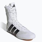 Боксьорски обувки adidas Box Hog Classic white