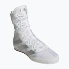 Боксьорски обувки adidas Box Hog 4 white/silver