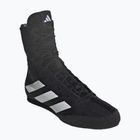 Боксьорски обувки adidas Box Hog 4 black/white