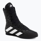 Боксьорски обувки adidas Box Hog 4 black/white