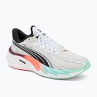 Мъжки обувки за бягане PUMA Velocity Nitro 4 Hyrox puma white / mint