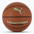 PUMA teamJAWS Court Pro Баскетболна кожа кафява/тъмна сянка размер 7