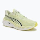 Мъжки обувки за бягане Puma Velocity Nitro 4 green