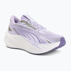 Обувки за бягане Puma Maxima Pro light lavender/plum purple