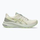 ASICS GT-1000 13 TR мъжки обувки за бягане естествена баня/лимонено зелено