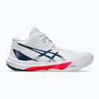 ASICS мъжки обувки Sky Elite FF MT 3 white/maco blue