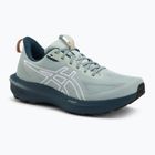ASICS GT-1000 14 TR nature bathing/lichen rock мъжки обувки за бягане