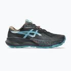 Мъжки обувки за бягане ASICS Trabuco 14 GTX black/misty pine
