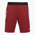 Мъжки къси панталони/шорти VICTOR R-60200 biking red