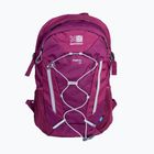 Karrimor Metro 30 l туристическа раница с боровинки