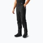 Мъжки панталони за трекинг REGATTA Highton Stretch black