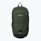 Туристическа раница REGATTA Highton V2 20 l dkkhk/frlfcl