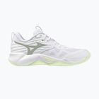 Дамски обувки за волейбол Mizuno Wave Momentum Pro white/aqua gray/ambrosia