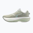 Дамски обувки за бягане Mizuno Wave Rider 30 balsam green/mentholated/white