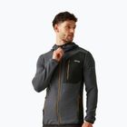 Мъжки суитшърт REGATTA Lakewright ash/black
