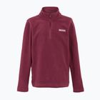 Детска поларена блуза REGATTA Hot Shot II dark pimento