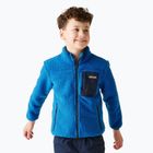 Детски суитшърт REGATTA Frankie Warm snorkel blue