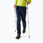 Мъжки софтшел панталони REGATTA Geo Softshell navy