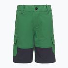 Детски къси панталони за трекинг LEGO Lwpayton 300 green 11010121
