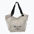 Дамска чанта BIG STAR NN574058 beige