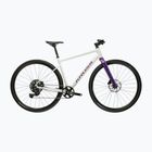 Гравел велосипед KROSS Esker 1.0 FL grey/purple/gloss