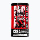 Fitness Authority Bad Ass Crea 300 g exotic
