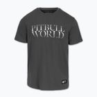 Мъжка тениска Pitbull World graphite