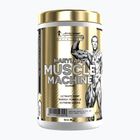 Предтренировъчна добавка Fitness Authority Levrone Gold Maryland Muscle Machine 385 g fruit punch